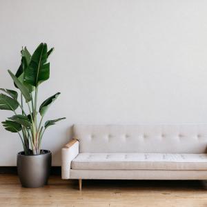 Ника фон 4379-1